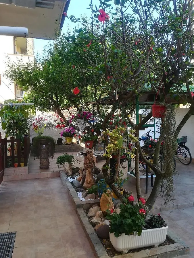 B&B Lety Alghero 0*,